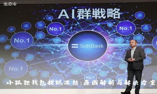  小狐狸钱包提现冻结：原因解析与解决方案