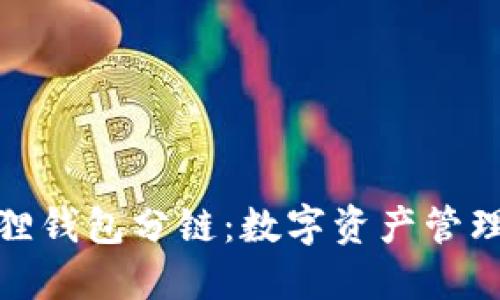 探索小狐狸钱包分链：数字资产管理的新境界